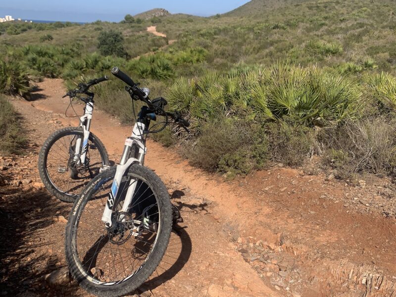 RENT E-BIKE BULLS SIX 50 IN SANTA POLA