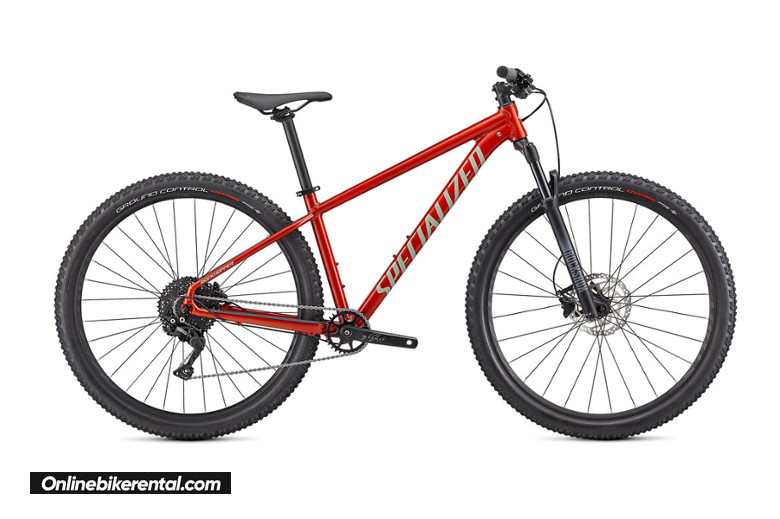 RENT A SPECIALIZED ROCKHOPPER Elite 29 2021 IN TORREVIEJA