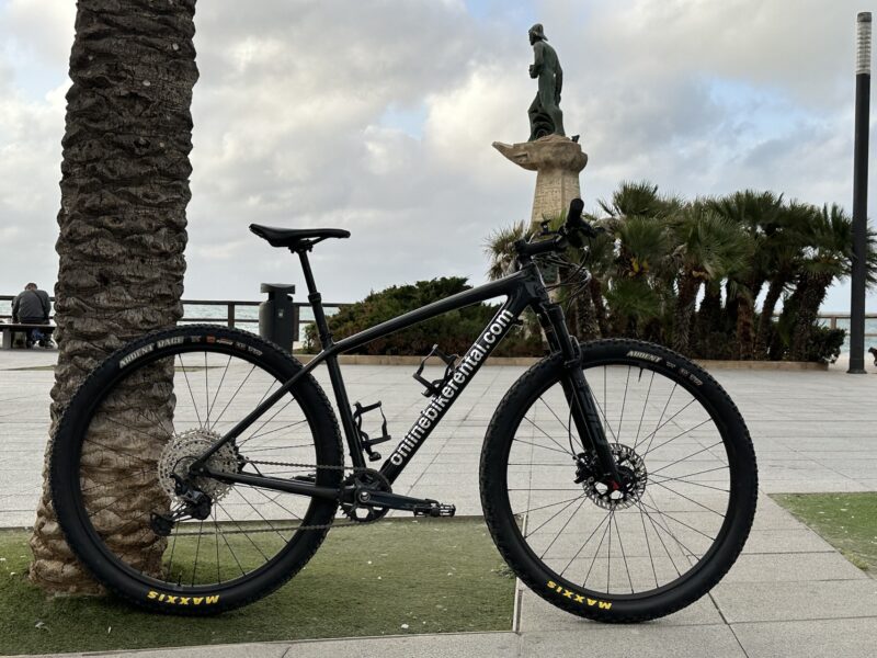 RENT A CARBON MOUNTAINBIKE IN TORREVIEJA