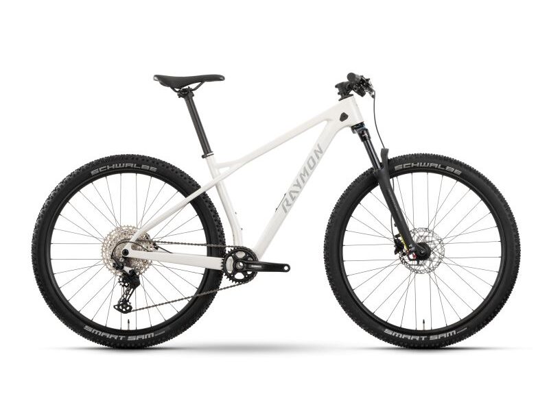 Carbon MTB Raymon Arid for rent in Torrevieja